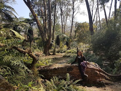 Photos of Flower Development Centre, Godawari