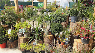 Photo n°4 de Graineterie Jardinerie Tesson à Belmesnil (Jardinerie)