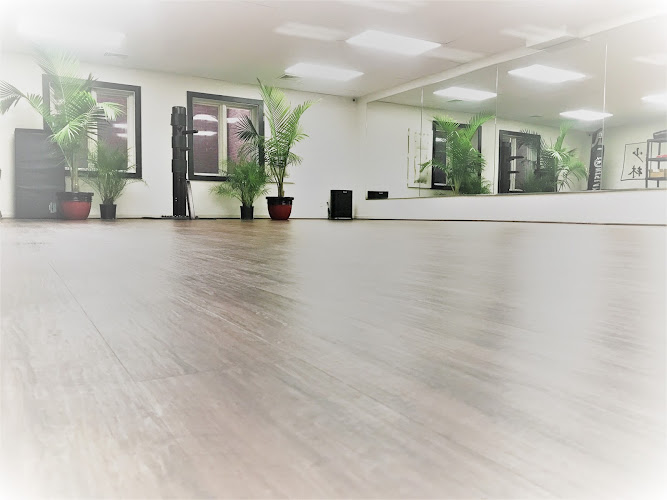 Discover Kung Fu - karate in Fairfax, Virginia
