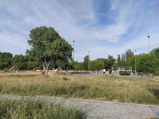 Skatepark-seat