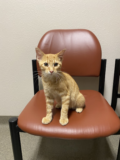 Unionville Veterinary Clinic