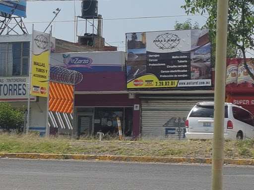 La Zarza (Manantiales) - Thumbnail