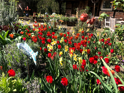 Mull & Ohlendorf Garten- und Landschaftsbau - Thumbnail