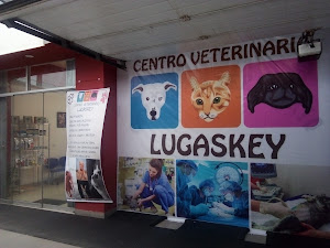 CENTRO VETERINARIO LUGASKEY 1