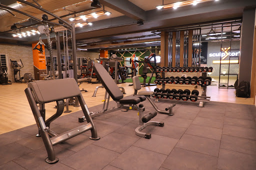 Sculptor’s Lifestyle & Fitness