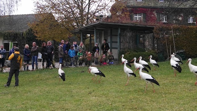 Affenberg Salem