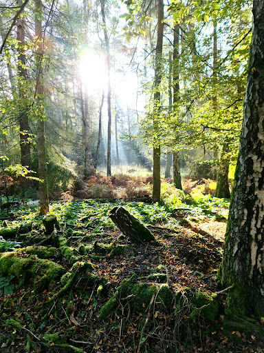 Jugendzeltplatz Wild Park - Thumbnail