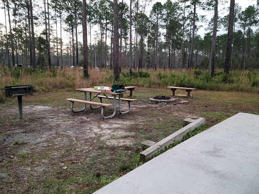 Cary Campground - Visual