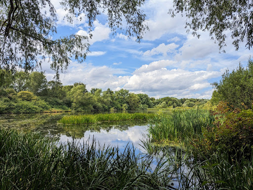 Pengy's Hide - Visual