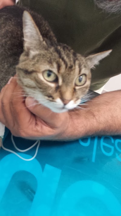 Photos of Veterinary Clinic Foschi Perfetti