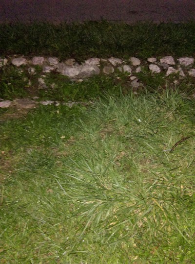 Photos of Park Betanija