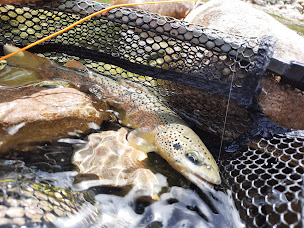 Photo n°23 de Fishing aventure Méditerranée06 à Mandelieu-la-Napoule (Club de pêche)