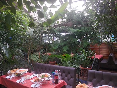 Photos of Kafe-Bar "Zimniy Sad"