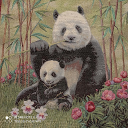 Photo n°12 de Tissus Eychenne Toulouse à Launaguet (Boutique de laine)