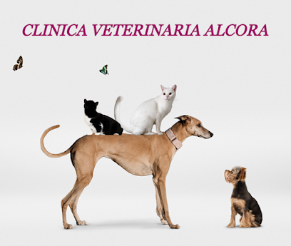 Clínica Veterinaria Alcora