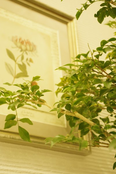 オブヘア 宮前平店 Ofcosmetics Kawasaki Shi Kanagawa 81 44 7 98