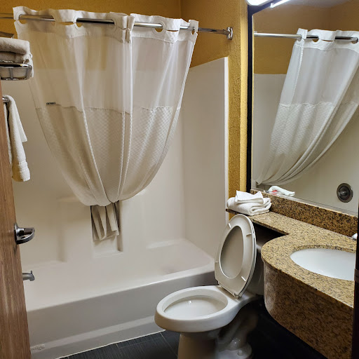 Microtel Inn & Suites by Wyndham New Braunfels - Thumbnail