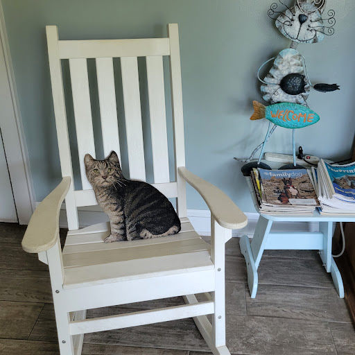 Cape Fear Spay/Neuter Clinic - Thumbnail