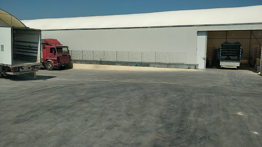 Treafruit Gallery - Italy