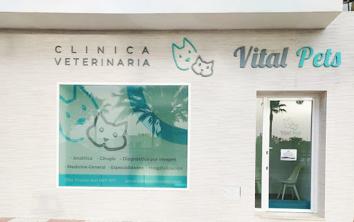 Vital Pets Clínica Veterinaria