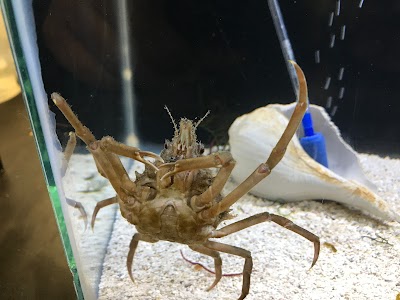 Smithsonian Marine Ecosystems Exhibit