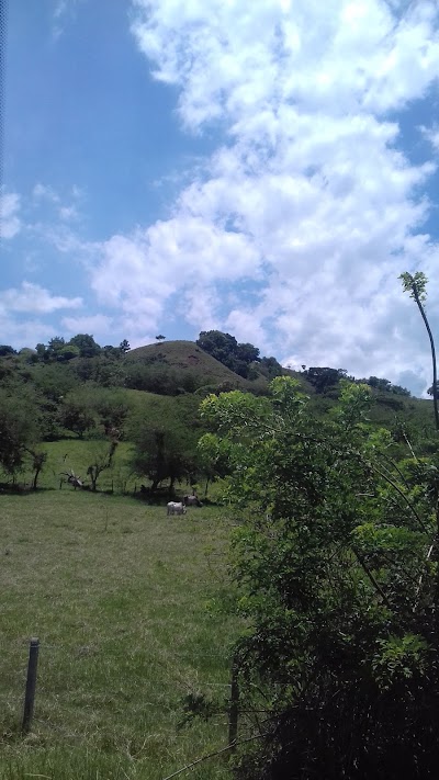 Photos of Barco Ciudad Pereira
