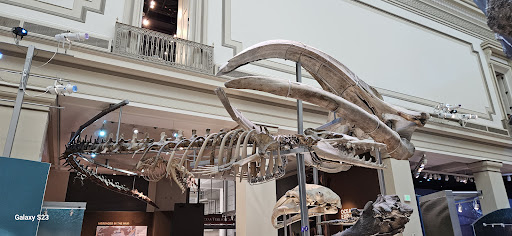 Smithsonian National Museum of Natural History Store