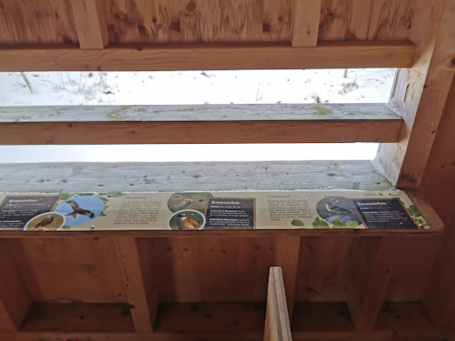 Vogelbeobachtung Münsingen - Thumbnail