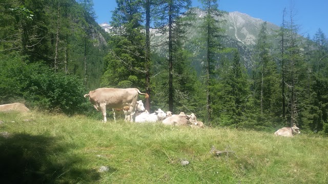 Lago delle Fate