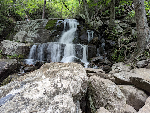 Laurel Falls Trailhead - Thumbnail