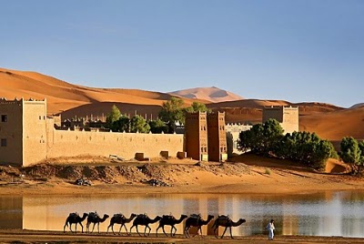 Photos of Marrakech Desert Excursion