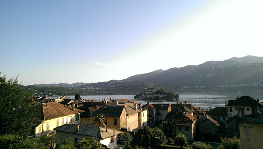 La Magnolia di Tatiana Benazzi - Thumbnail