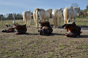 Photo n°5 de Manade de la Quère à Vétheuil (Centre de randonnée équestre)