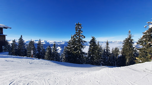 Alpinolino Westendorf - Thumbnail