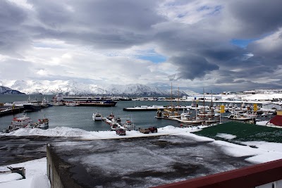 Photos of Husavik