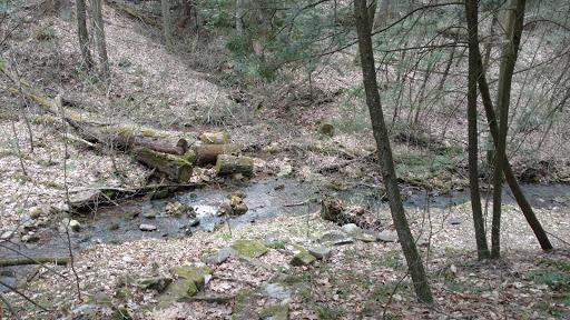 Darlington Trail