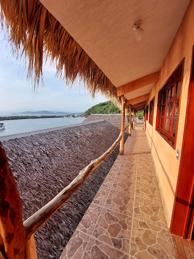 Hotel Coconuts - Visual