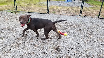 Sevier Animal Care Center