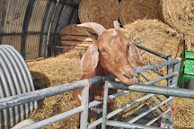 Boydells Dairy Farm, Wethersfield, United Kingdom