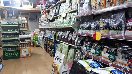 Animalshop