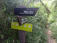 天園ハイキングコース