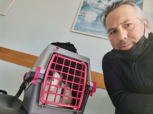 Ambulatorio Veterinario Dr. D'Argento Walter - Thumbnail