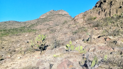 Sendero Para subir al cerro , Zona 3 Asadero Logo