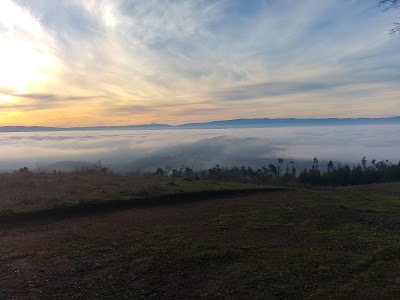 Photos of Liucura la bodega