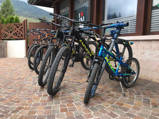 Noleggio Mountain E-Bike - Bike - Andalo - Thumbnail