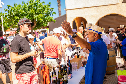 Vignobles Cap Leucate - Port Leucate - Thumbnail