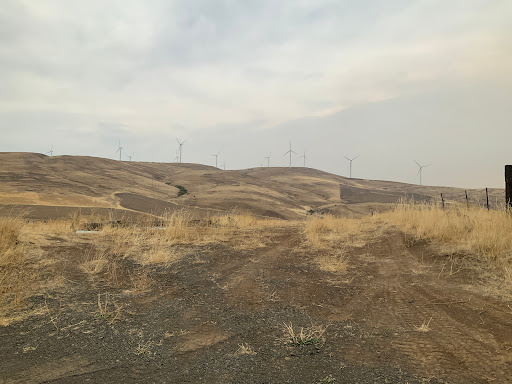 Windy Flats - Visual