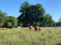 Ferme De La Fontaine à Vaugrigneuse