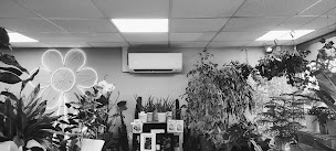 Photo n°12 de A.P.C. Clim à Breuil-le-Vert (Fournisseur d'équipements pour l'adoucissement de l'eau)