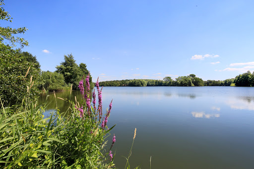 Wasserthal & Lerdon - Thumbnail